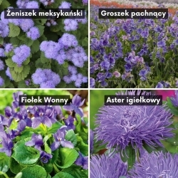 Very Peri - selection of 4 flowering plant varieties